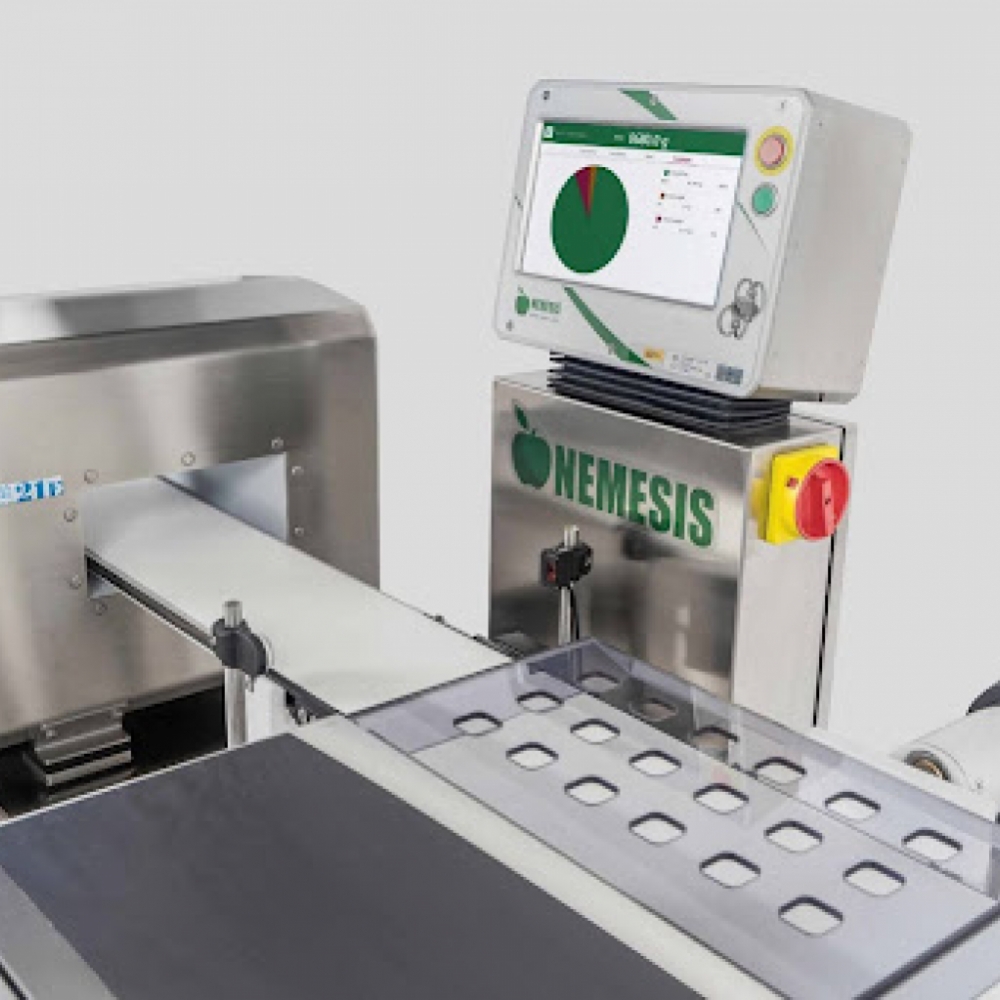 Tailored weighing systems: the advantages of Nemesis integrated solutions